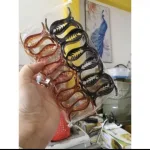 Nơi lấy sỉ lố 12 Kẹp Càng Cua 3 Răng 2 Màu Nâu Và Đen
