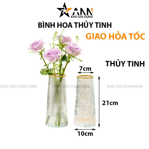 Chuyên sỉ lọ Hoa Thủy Tinh Trụ Sọc Viền Vàng Lucas 21x7x10cm