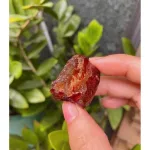 Táo Sấy Dẻo Không Hạt Thơm Ngon 500g