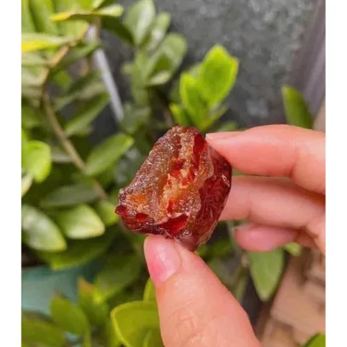 Táo Sấy Dẻo Không Hạt Thơm Ngon 500g