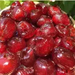 Táo Sấy Dẻo Không Hạt Thơm Ngon 500g