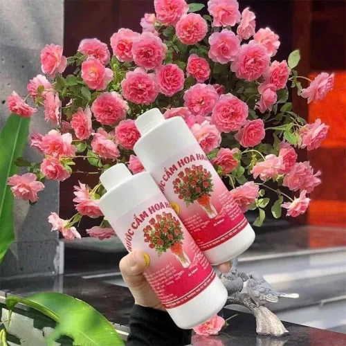 Chuyên sỉ nước Cắm Hoa Hamilk - Nước Giúp Hoa Tươi Lâu 14 Ngày 500ml
