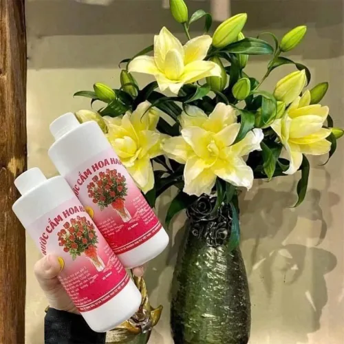 Chuyên sỉ nước Cắm Hoa Hamilk - Nước Giúp Hoa Tươi Lâu 14 Ngày 500ml