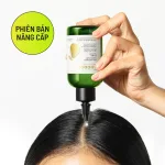 Nơi lấy sỉ nước Dưỡng Tóc Tinh Dầu Bưởi Pomelo Cocoon 140ml