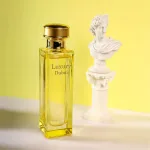 Luxury Dubai Nước Hoa Nữ Chai Vàng Dung Tích 50ml