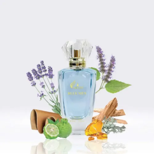 Nước hoa nam Charme Blue Men Eau De Parfum 50ml hương gỗ