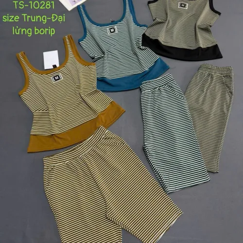 Shop sỉ đồ bộ nữ sát nách quần lững thun borip