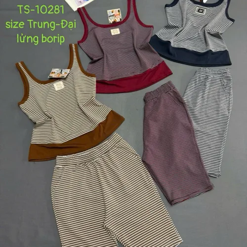 Shop sỉ đồ bộ nữ sát nách quần lững thun borip