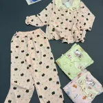 Shop sỉ đồ bộ nữ tiểu thư tay dài cotton hàn không giãn  HT-15236 - 115236