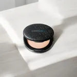 Chuyên sỉ phấn Phủ Maybelline New York Fit Me Oil Control Powder SPF32 PA+++