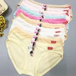 Nguồn hàng sỉ combo 10 quần lót nữ thông hơi size lớn