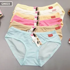 Nguồn hàng sỉ combo 10 quần lót nữ thông hơi size lớn