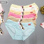 Nguồn hàng sỉ combo 10 quần lót nữ thông hơi size lớn