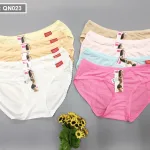 Nguồn hàng sỉ combo 10 quần lót nữ thông hơi size lớn