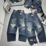 Shop sỉ quần Thụng Jeans Nữ Vải Dày Mềm Không Co Giãn Nhiều Mẫu