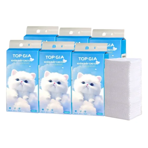 Nguồn hàng sỉ set 6 Túi Khăn Giấy Rút Treo Tường Màu Xanh Có 4 Lớp Top Gia