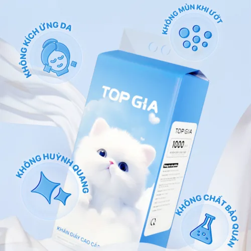 Nguồn hàng sỉ set 6 Túi Khăn Giấy Rút Treo Tường Màu Xanh Có 4 Lớp Top Gia