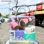 Nguồn hàng sỉ set Giỏ Quà Nước Hoa Charme So Sexy Mùi Nữ 100ml Phiên Bản Mới 2025 - Túi Trong Vuông Có Đèn Đom Đóm Lót Giấy Rơm Thắt Nơ Xinh Xắn Nhiều Màu