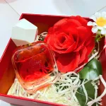 Bộ hộp quà tặng Charme Darling – Nước hoa nữ 50ml
