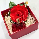 Chỗ sỉ set Hộp Quà Tặng Nước Hoa Nữ Charme Just For You 30ml
