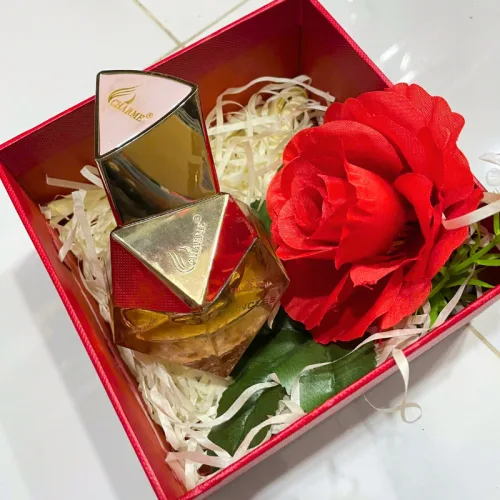 Nguồn hàng sỉ set Hộp Quà Tặng Nước Hoa Nữ Good Charme Princess 50ml - Hộp Hoa Rơm Nhiều Màu