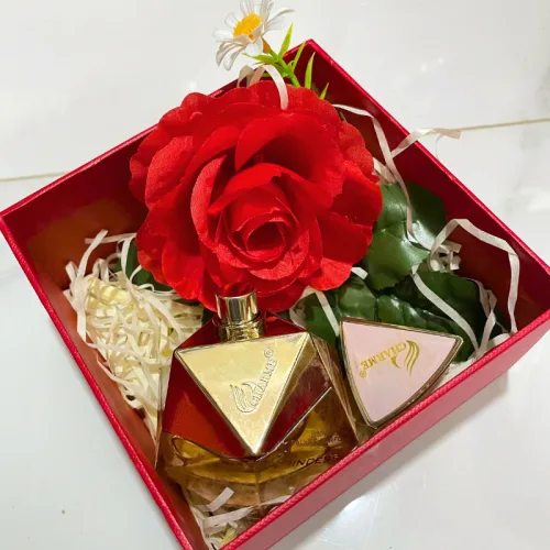 Nguồn hàng sỉ set Hộp Quà Tặng Nước Hoa Nữ Good Charme Princess 50ml - Hộp Hoa Rơm Nhiều Màu