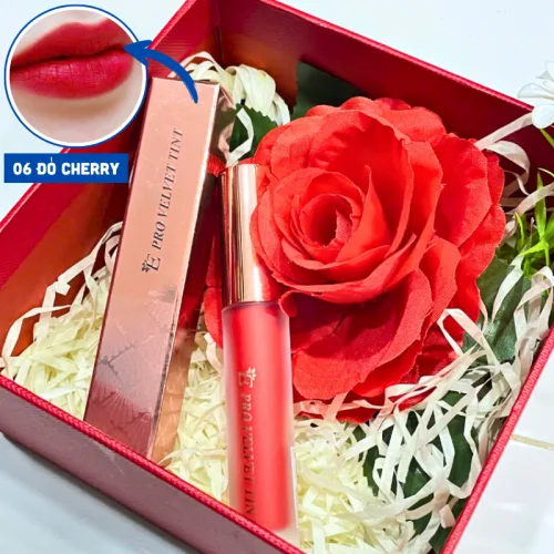 Nơi lấy sỉ set Hộp Quà Tặng Son Môi Kem Nhung Lì Hàn Quốc Embisu Pro Vel Tint 10 Màu - Hộp Hoa Rơm Nhiều Màu