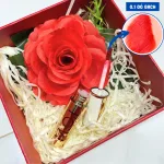 Hộp Quà Son Môi Love M.O.I Màu Vàng, 3 Màu Son
