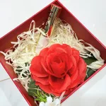 Hộp Quà Son Môi Love M.O.I Màu Vàng, 3 Màu Son