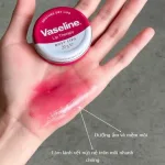 Chuyên sỉ son Dưỡng Môi Vaseline Hộp Thiếc Màu Hồng Lip Therapy Rosy Lips 20g