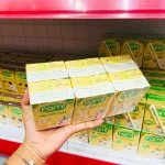 Shop sỉ sữa Đậu Nành FAMI Vị Sữa Dừa Lốc 6 Hộp (200ml/Hộp)
