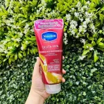 Shop sỉ sữa Dưỡng Thể Vaseline 70x Màu Đỏ Gluta Hya Serum Burst Lotion Pro Age Restore Thái Lan