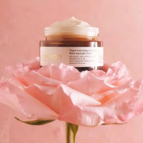Shop sỉ thạch Hoa Hồng Cocoon Rose Aqua Gel Cream Giúp Dưỡng Ẩm Da 30ml
