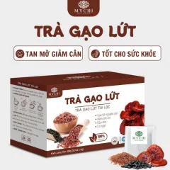 Trà gạo lứt Mychi hộp 120g gồm 20 túi lọc, mỗi túi 6g