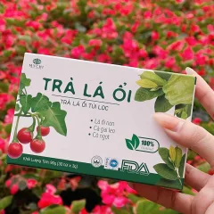 Trà lá ổi Mychi dạng túi lọc, quy cách hộp 30 gói