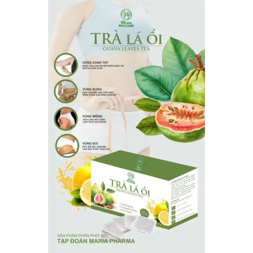Shop sỉ trà Là Ổi Hỗ Trợ Giảm Mỡ Guava Leav Tea Maria Pharma