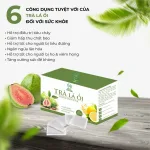 Shop sỉ trà Là Ổi Hỗ Trợ Giảm Mỡ Guava Leav Tea Maria Pharma