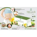 Shop sỉ trà Là Ổi Hỗ Trợ Giảm Mỡ Guava Leav Tea Maria Pharma