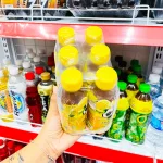 Shop sỉ trà Xanh C2 Hương Chanh Thùng 24 Chai Nhỏ (225ml/Chai)