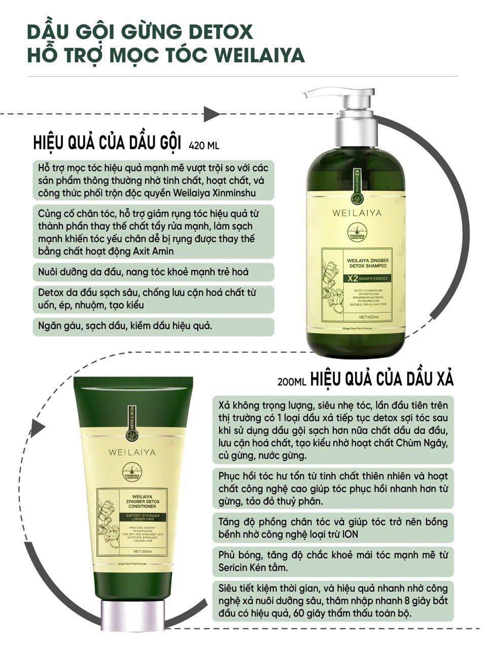 Dầu gội xả gừng detox hỗ trợ mọc tóc Weilaiya Luxury