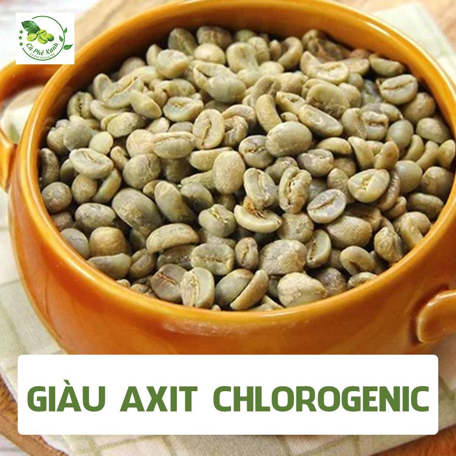 CÀ PHÊ XANH KHÁC GÌ SO VỚI CÁC LOẠI CÀ PHÊ THÔNG THƯỜNG?