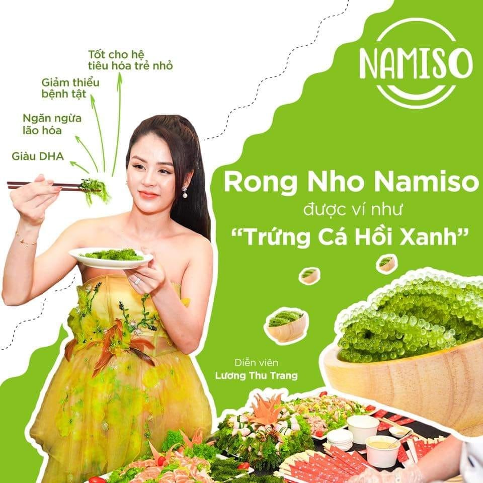 Rong nho namiso - lựa chọn số 1 cho cả gia đình bạn mùa hè