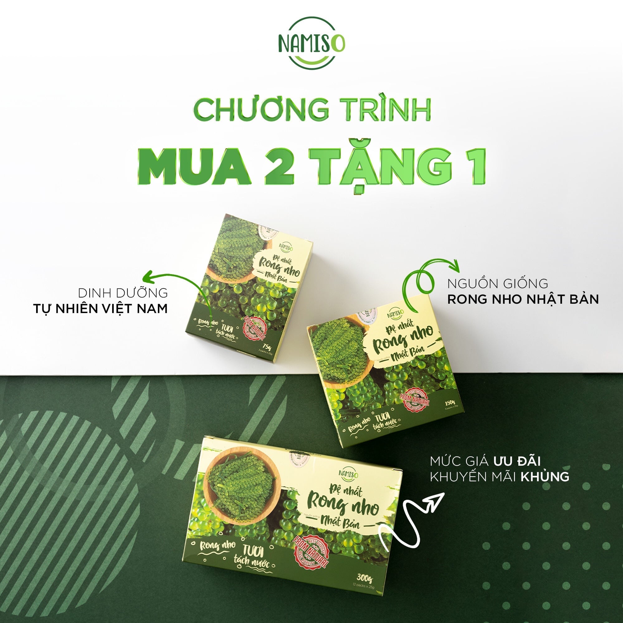 Cách sử dụng Rong nho Namiso