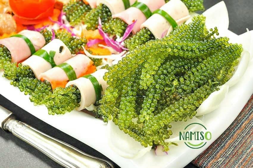 Hướng dẫn sử dụng rong tươi tách nước NAMISO