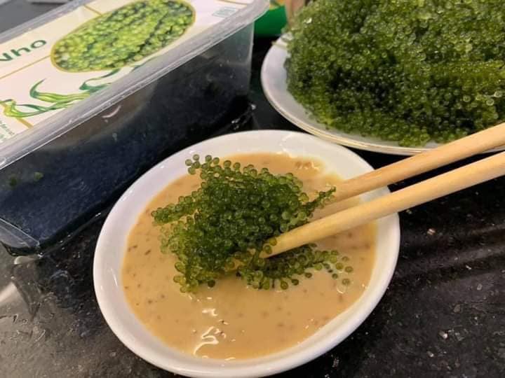 Rong Nho Namiso - Đệ Nhất Rong Nho Nhật Bản
