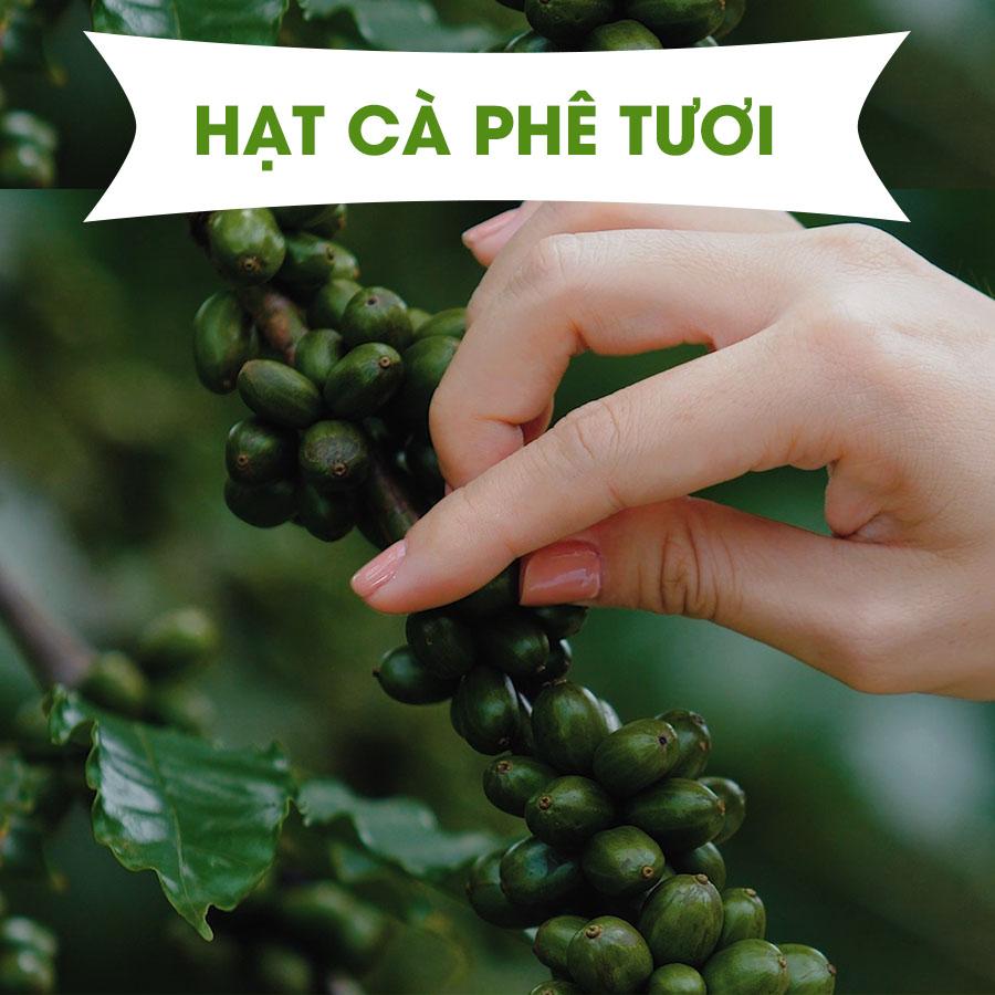 Triệt tiêu mỡ thừa cứng đầu vớI sản phẩm 100% thiên nhiên