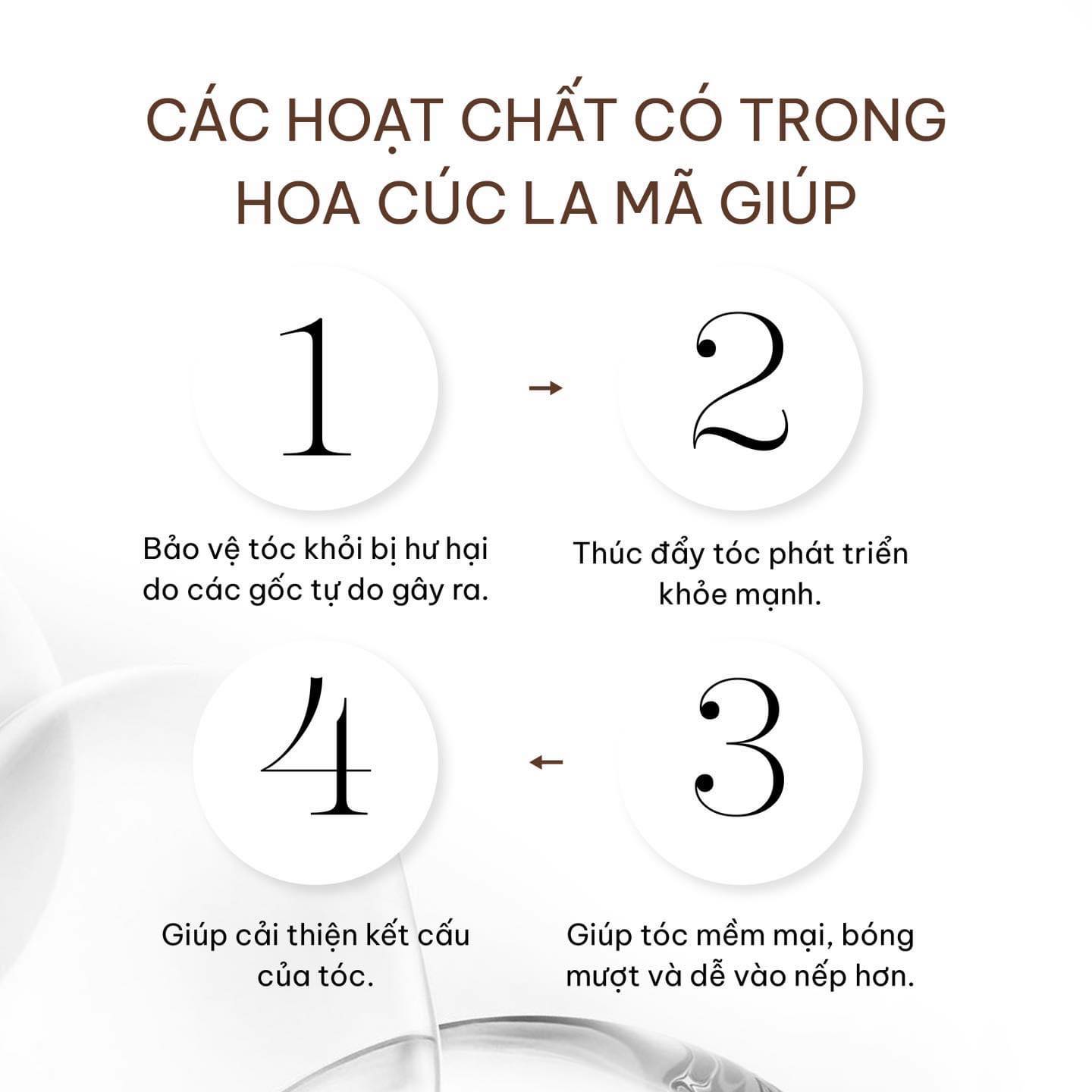 Hoa cúc la mã thành phần bí ẩn mà mái tóc của bạn đang khao khát