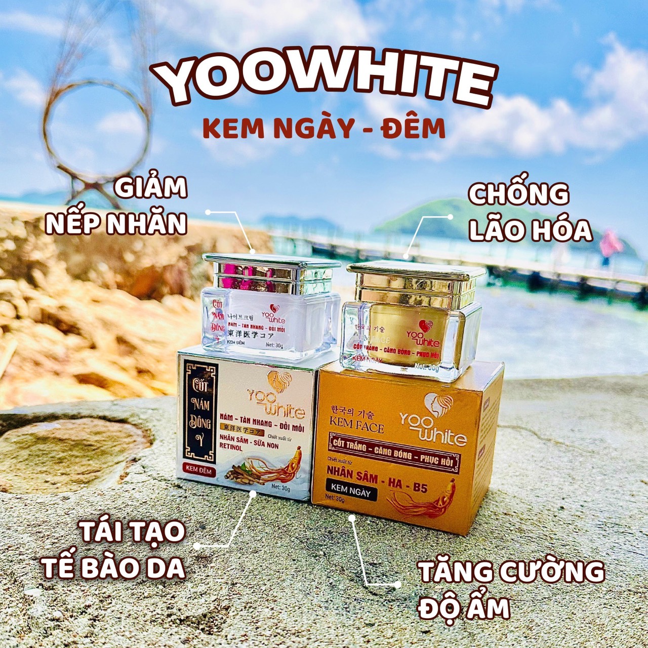 Combo kem Face Yoo White