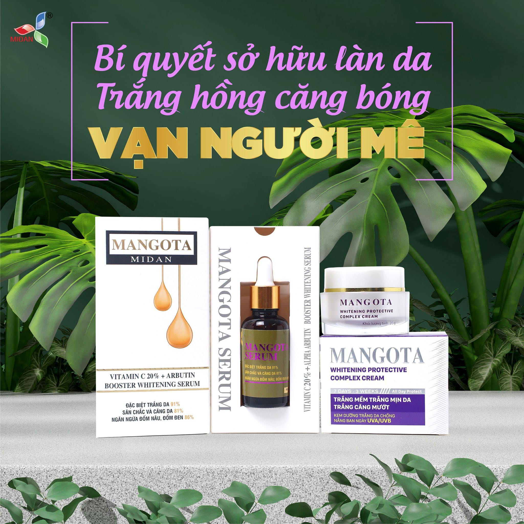 Mangota Tím trắng căng bóng có đột phá mới như thế nào