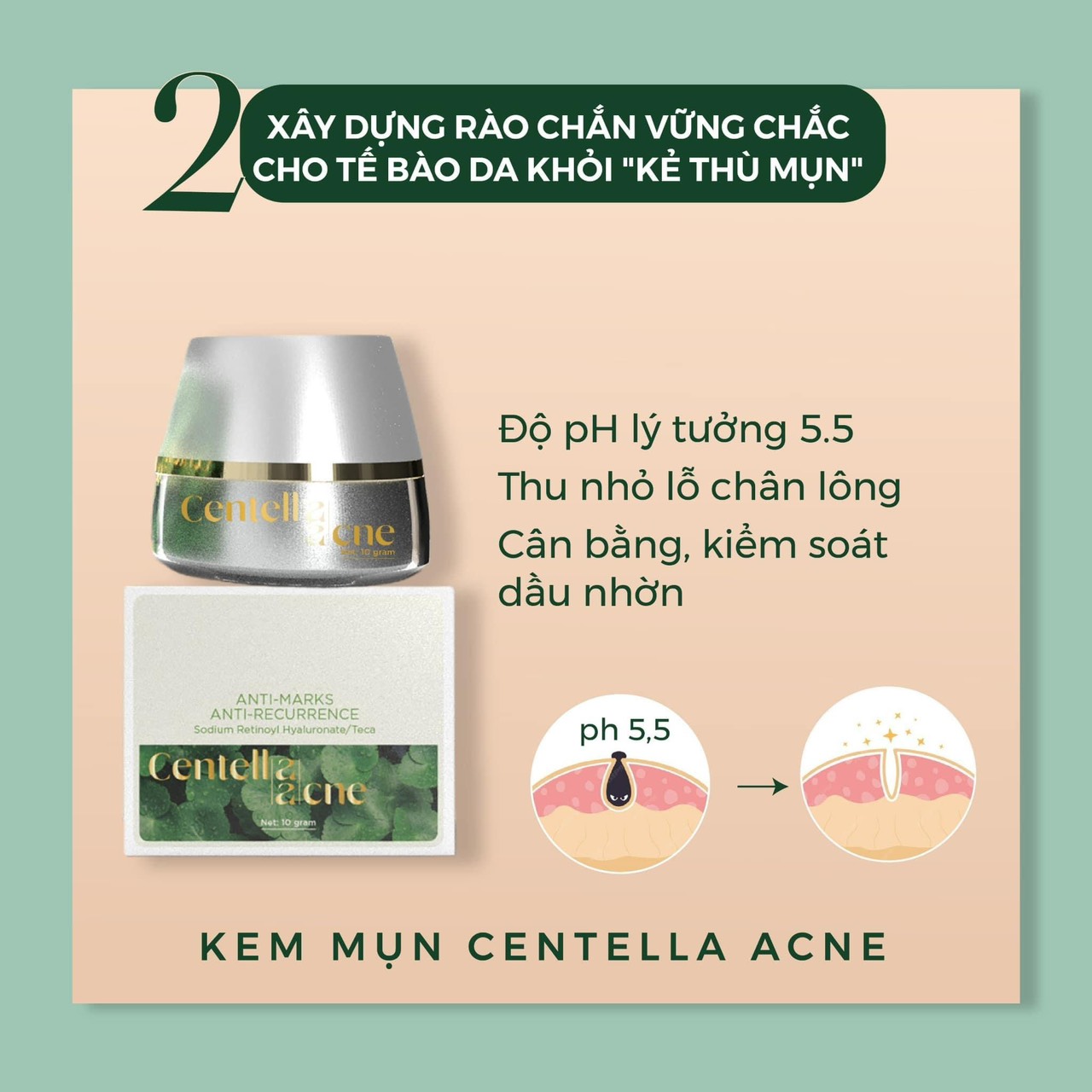 Dẹp ngay mụn cứng đầu sau 28 ngày sử dụng với Kem Face Mụn Rau Má Jiuhe Centella Acne